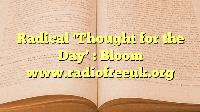 Radical ‘Thought for the Day’ : Bloom