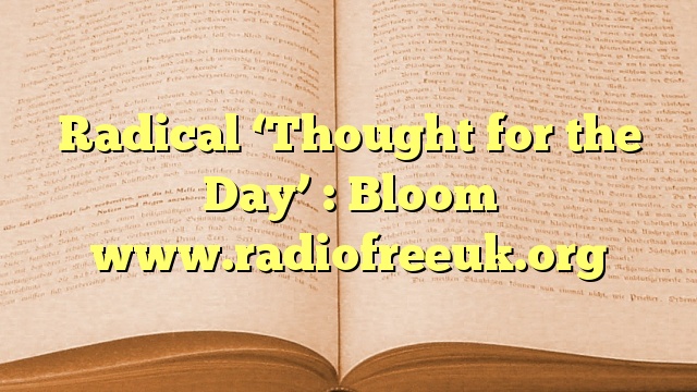 Radical ‘Thought for the Day’ : Bloom